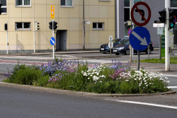 Stadt Linz / Stadtgrün und Straßenbetreuung Bunt blühendes Blumenbeet in einer Grüninsel zwischen Fahrstreifen am Gründberg in Urfahr