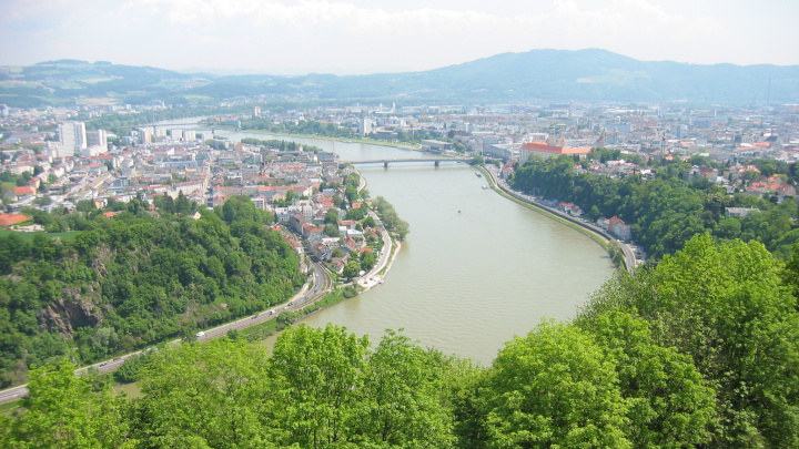 Blick vom Freinberg auf Alt-Urfahr, die Donau und die Linzer Altstadt mit Laubbäumen im Vordergrund