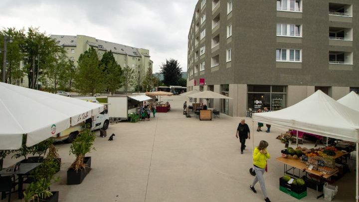 Übersicht über den Markt Oed