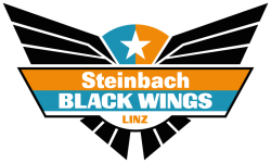 Zur Website der Steinbach Black Wings