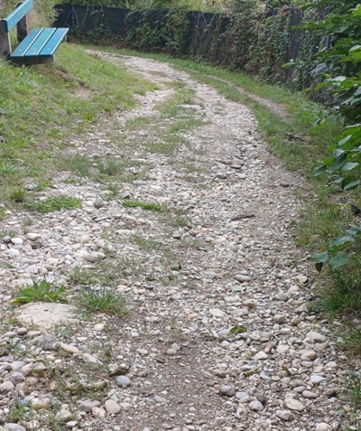 Beispiele für notwendige Wegesanierungen: Pflasterbachweg und Weg bei der Mulden-straße 
