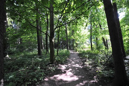 Hummelhofwald: 8 Hektar große Naherholungszone am Bindermichl.