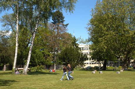 Der Stadtpark mit 11.000 m² wurde als neue öffentliche Erholungsfläche im Jahr 2003 von der Stadt Linz mitten in der Innenstadt neu geschaffen.